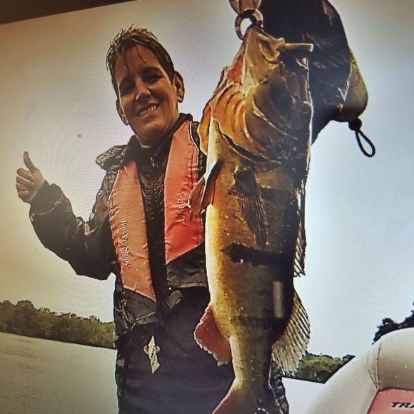 Meet your Posher, Korye - Picture 1 of 1